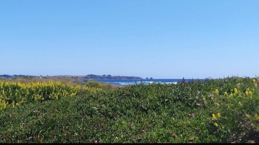 Saldemar Playa Hermosa * Pichilemu